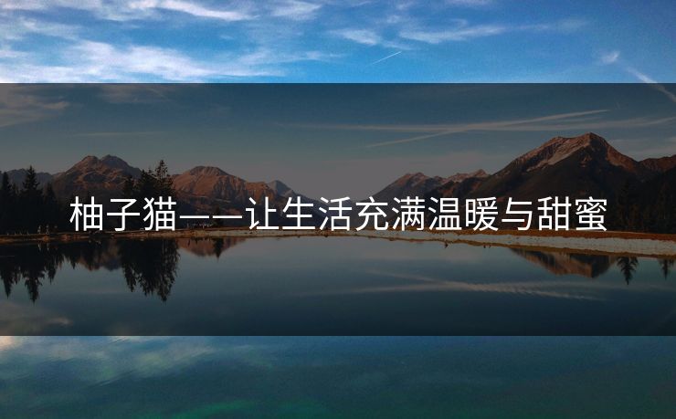 柚子猫——让生活充满温暖与甜蜜
