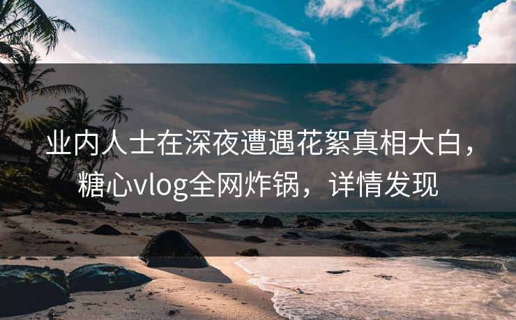业内人士在深夜遭遇花絮真相大白，糖心vlog全网炸锅，详情发现
