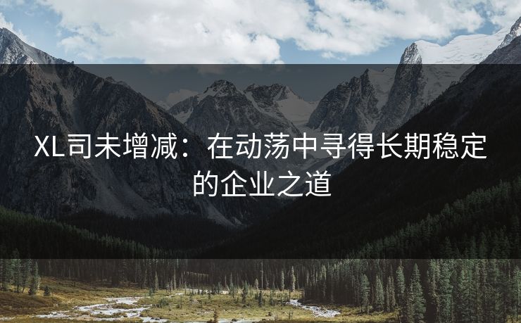 XL司未增减：在动荡中寻得长期稳定的企业之道