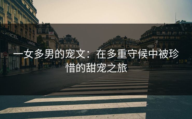 一女多男的宠文：在多重守候中被珍惜的甜宠之旅