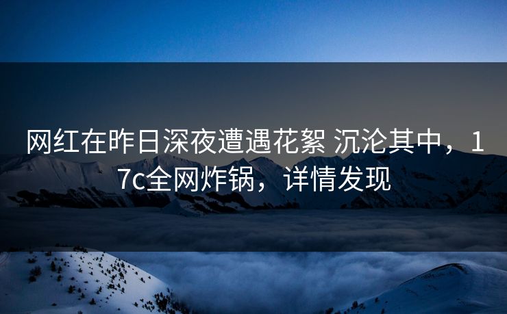 网红在昨日深夜遭遇花絮 沉沦其中，17c全网炸锅，详情发现