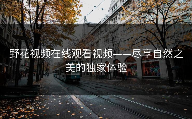 野花视频在线观看视频——尽享自然之美的独家体验